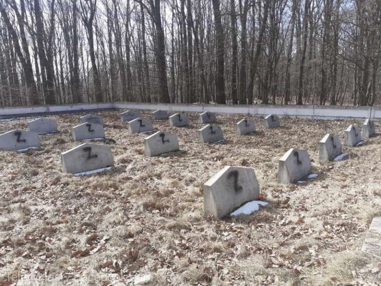 Ruşii vin în România să ancheteze profanarea unor morminte ale soldaţilor sovietici