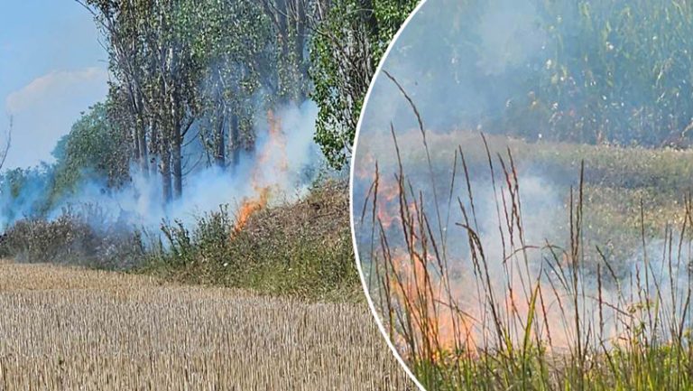 Incendiu de vegetație în Fălești! Câteva hectare au fost mistuite de flăcări