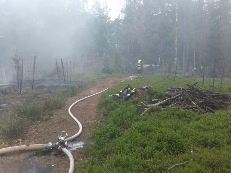 900 de pompieri se luptă cu un incendiu izbucnit într-un parc naţional din Cehia
