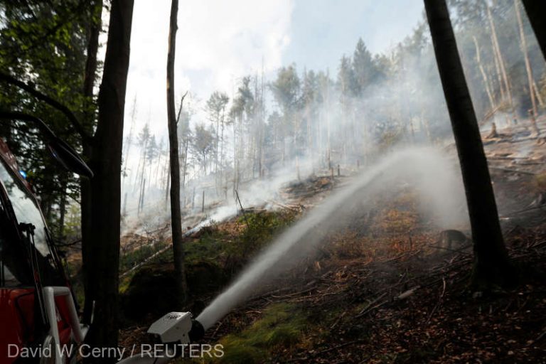 Pompierii cehi au reuşit să aducă sub control incendiul din Parcul Naţional ‘Elveţia Boemă’