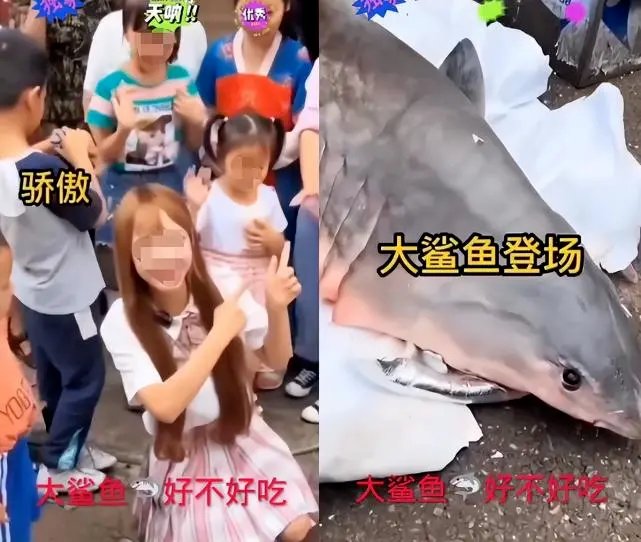 Autorităţile chineze anchetează o vloggeriţă după ce s-a filmat mâncând dintr-un rechin alb