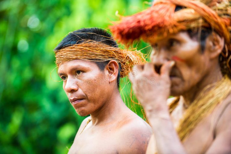 26% din Amazonia este ireversibil distrusă, avertizează liderii populaţiilor indigene