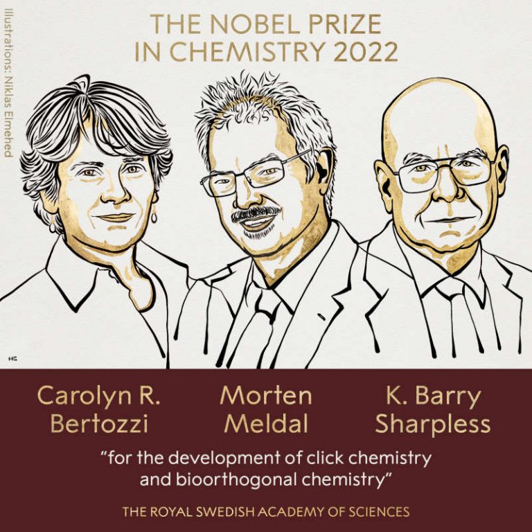 Carolyn R. Bertozzi, Morten Meldal şi K. Barry Sharpless au câştigat premiul Nobel pentru chimie