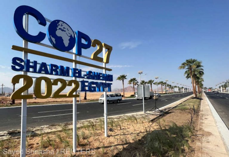 Zona desemnată de Egipt pentru protestele privind clima COP27 a atras un număr redus de activişti