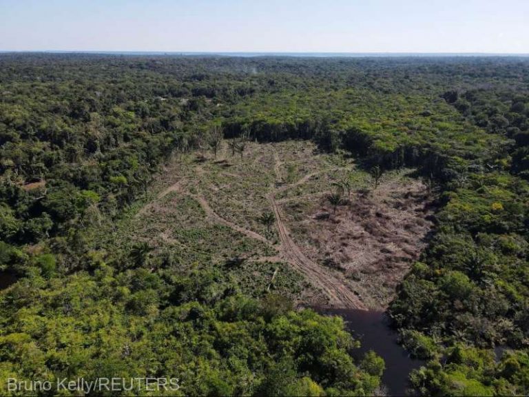 O treime din pădurea amazoniană, degradată de activitatea umană şi secetă