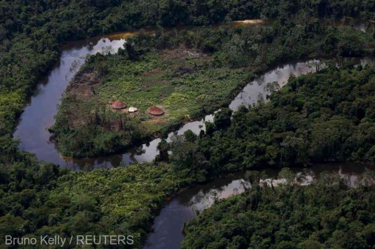Germania promite 200 de milioane de euro pentru protecţia mediului în Brazilia