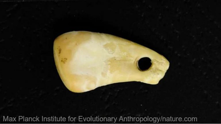 ADN-ul unei femei preistorice, descoperit pe un pandantiv cu dinte de cerb, vechi de 20.000 de ani
