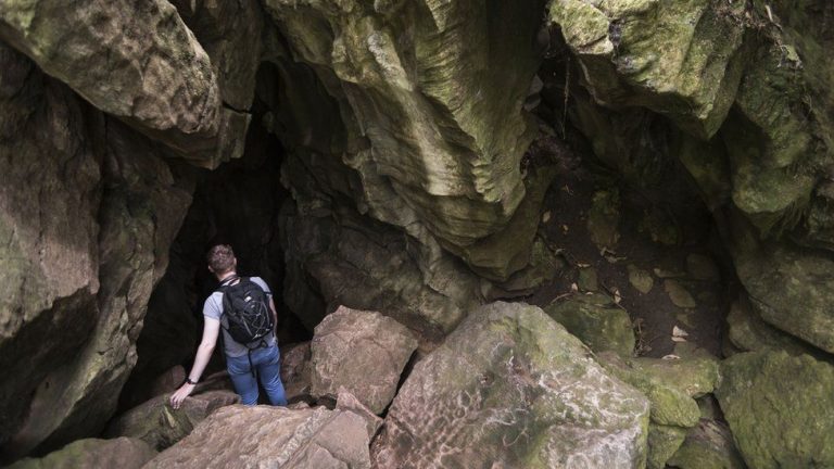 Cadavrul unui licean a fost găsit într-o peşteră din Noua Zeelandă