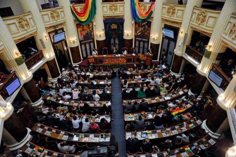 Mai multe deputate s-au bătut cu pumnii şi picioarele în parlamentul Boliviei