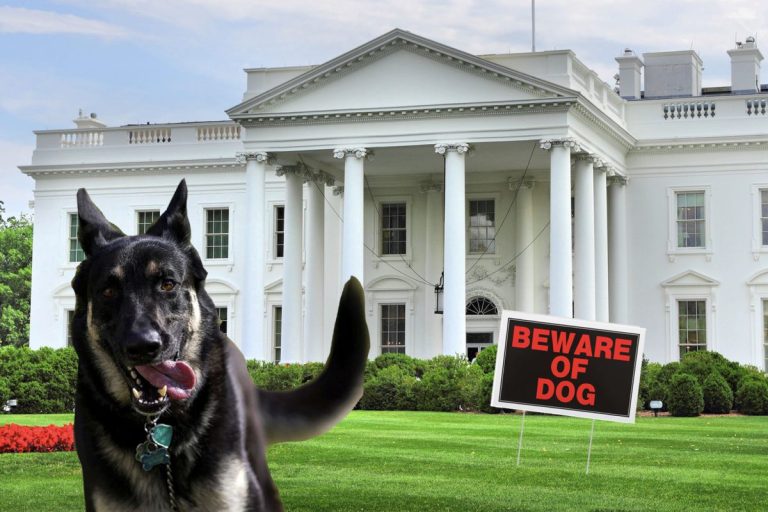 Câinele lui Joe Biden a muşcat din nou un agent al Secret Service