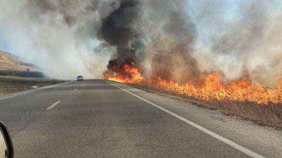 Incendiu de vegetație pe un drum din Căuşeni