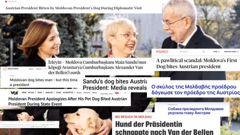 Cum a relatat presa străină incidentul cu Codruț și președintele Austriei
