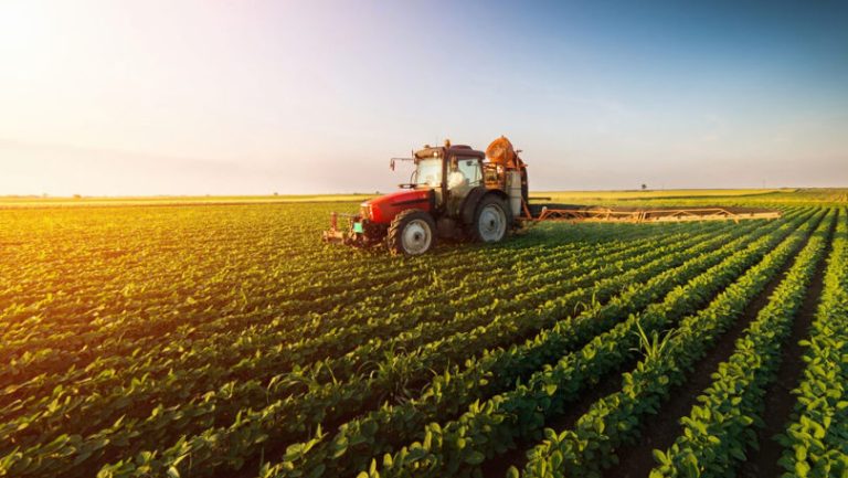 AIPA continuă debursarea plăților în contul agricultorilor