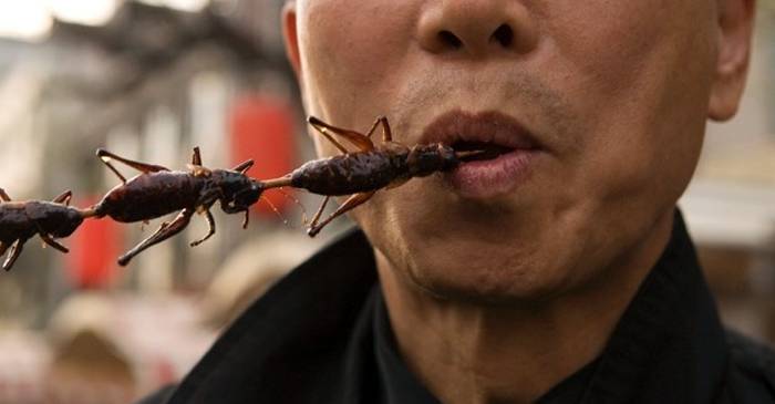 Val de dezinformări după ce Bruxellesul a autorizat ‘consumul de insecte’