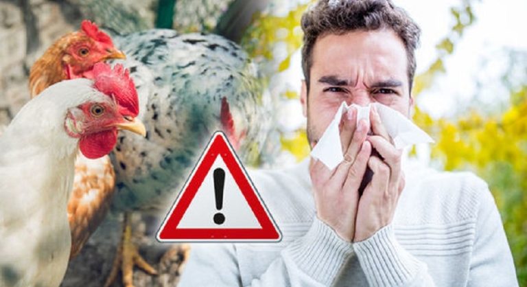 Şapte noi focare de gripă aviară depistate în ultima săptămână