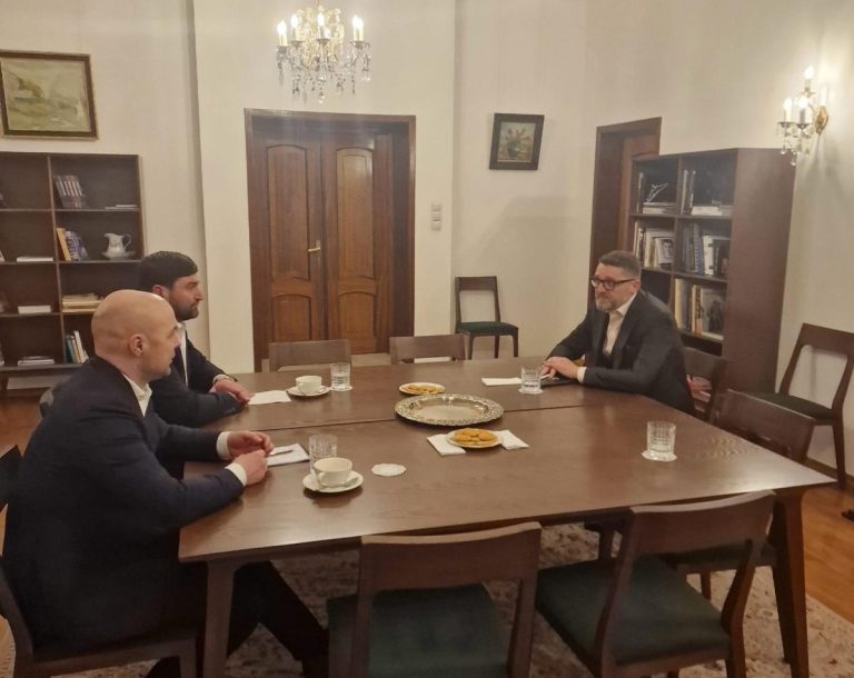 Liderul PSDE s-a întâlnit cu ambasadorul României