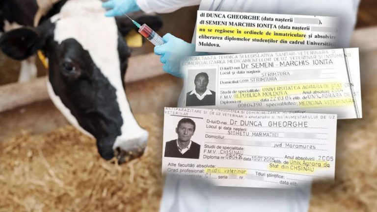 Doi falşi medici din R.Moldova se dau veterinari cu acte-n regulă în România