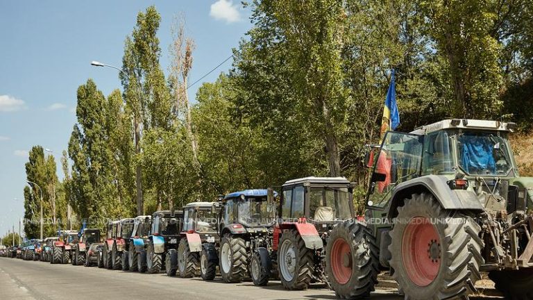 Autoritățile de la Chișinău ar putea aproba ajutorul pentru fermierii afectați de crize