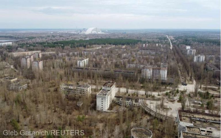 Lupii mutanţi care umblă pe străzile din Cernobîl par să fi dezvoltat rezistenţă la cancer (studiu)