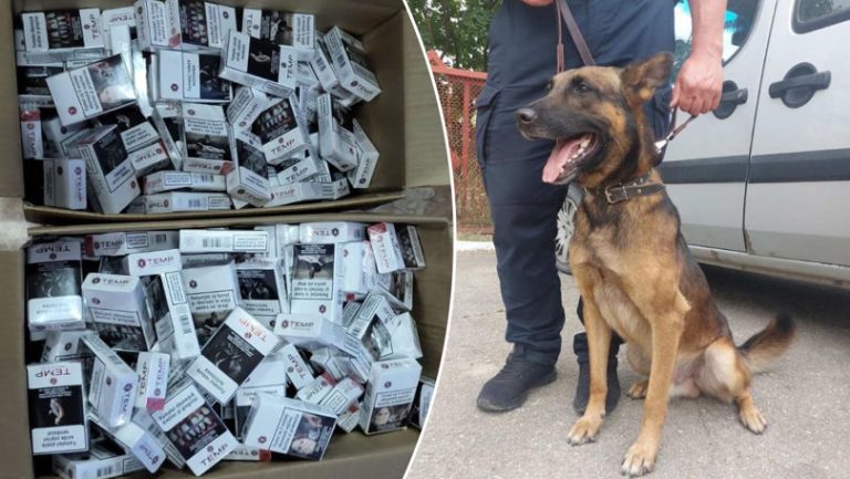 Un câine de poliţie a găsit ţigări de contrabandă la un cetăţean român