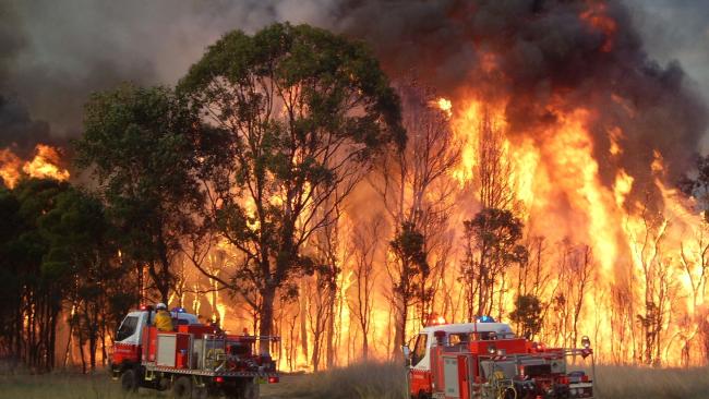 Peste o sută de incendii de pădure, active în două state din estul Australiei