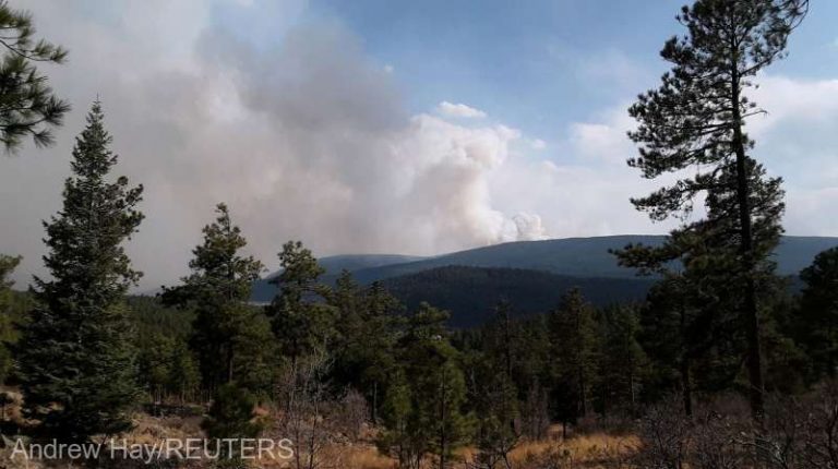 Un incendiu de vegetaţie pârjoleşte statul New Mexico! Mii de oameni se pregătesc de evacuare