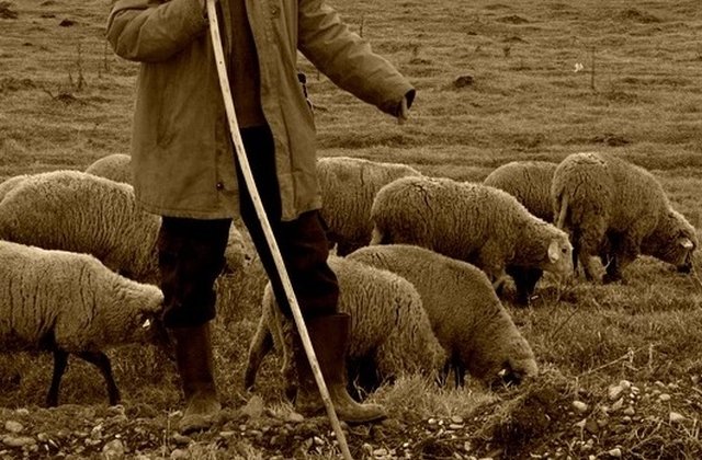 Ani grei de puşcărie pentru un cioban care a batjocorit o adolescentă fugită de acasă