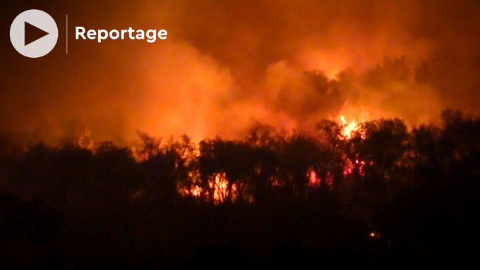 Incendii de vegetaţie violente în Maroc (VIDEO)! 500 de familii au fost evacuate în grabă