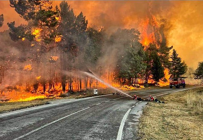 Incendiile de vegetaţie au devastat aproape 104.000 de hectare în acest an în Portugalia