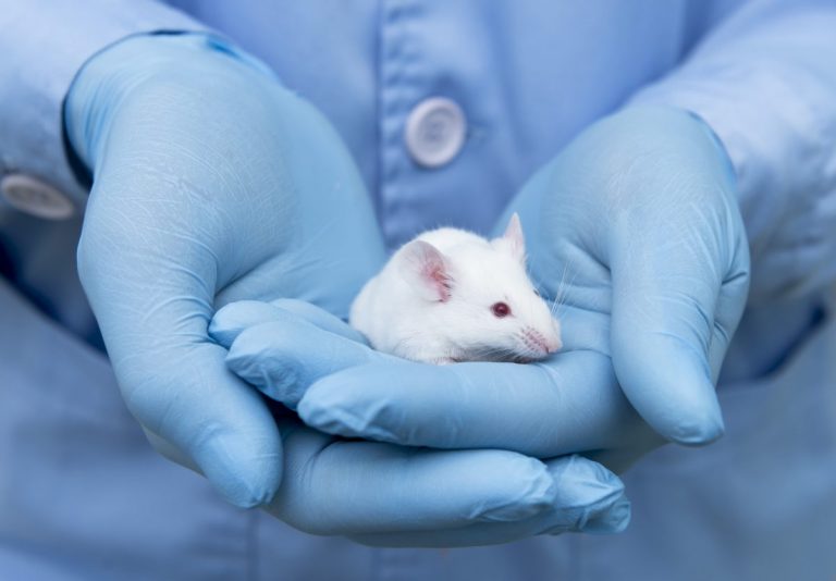 În Israel, cercetătorii se joacă ‘de-a Dumnezeu’! Au reuşit să genereze un model de embrion sintetic de şoarece din celule stem