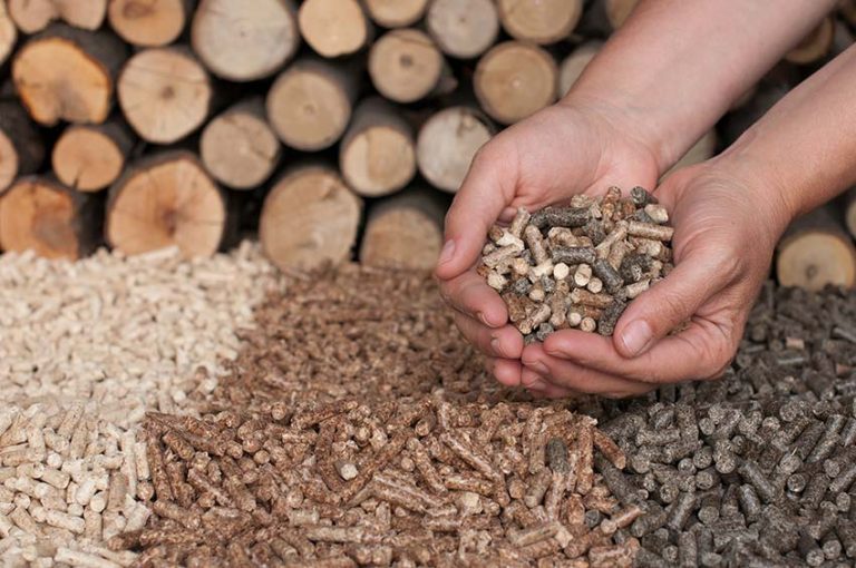 Cât de ieftine și verzi sunt în realitate peletele din lemn? Nu foarte, avertizează experții