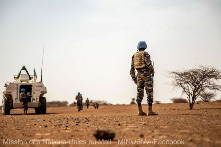Rotaţiile contingentelor misiunii ONU în Mali vor fi reluate