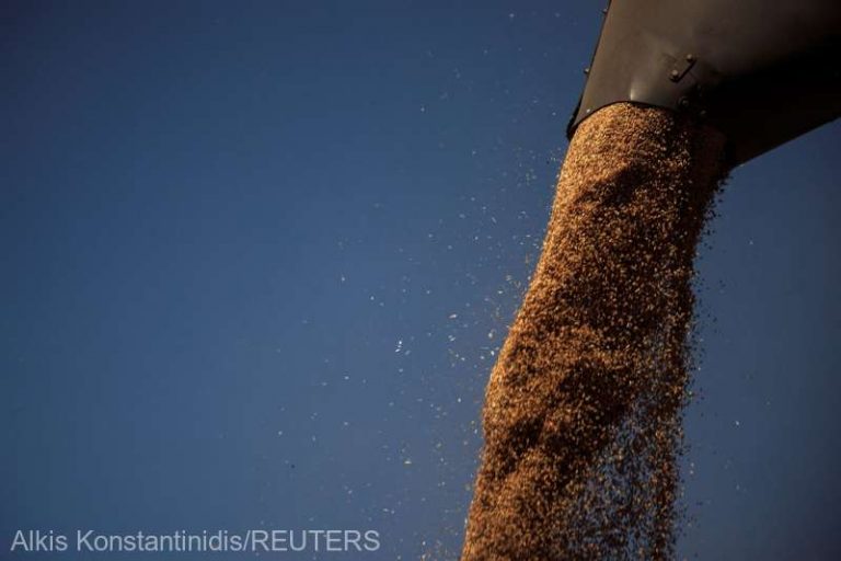 Ucraina poate exporta trei milioane de tone de cereale luna viitoare