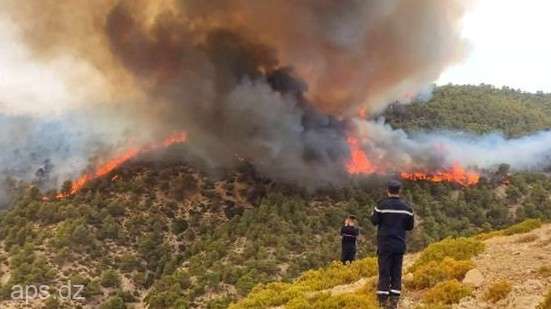 Cel puţin 26 de algerieni au murit şi alţi zeci au fost răniţi în incendii forestiere