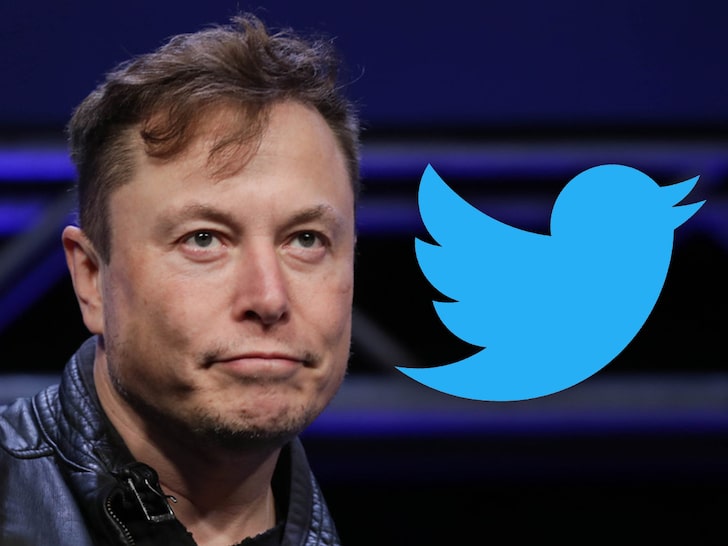 Elon Musk se grăbeşte să pună mâna pe Twitter