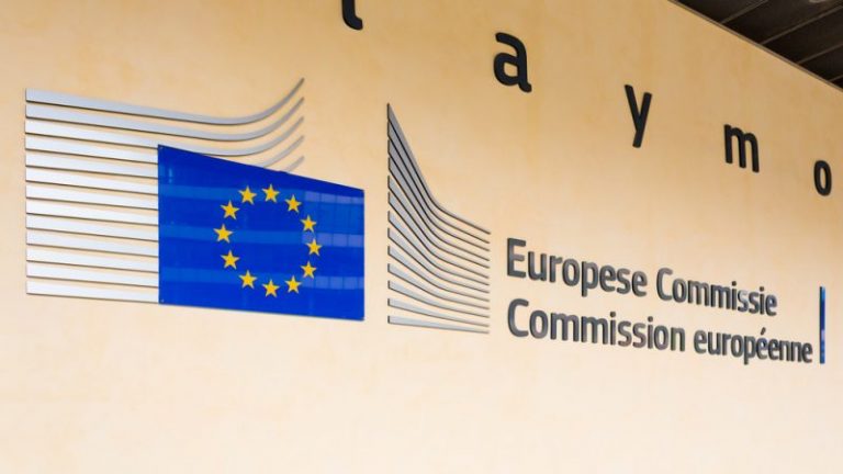 Cine s-ar putea lua ‘la trântă’ cu Von der Leyen pentru președinția Comisiei Europene?