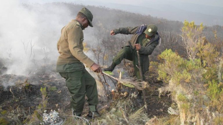 Un nou incendiu de vegetaţie a izbucnit pe Kilimanjaro