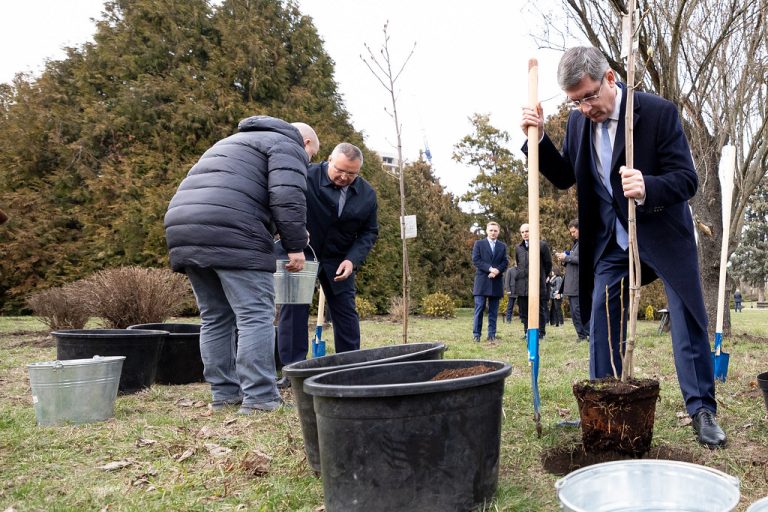 Președintele Parlamentului Republicii Moldova, Igor Grosu, și Președintele Senatului României, Nicolae-Ionel Ciucă, au plantat arbori la Grădina Botanică