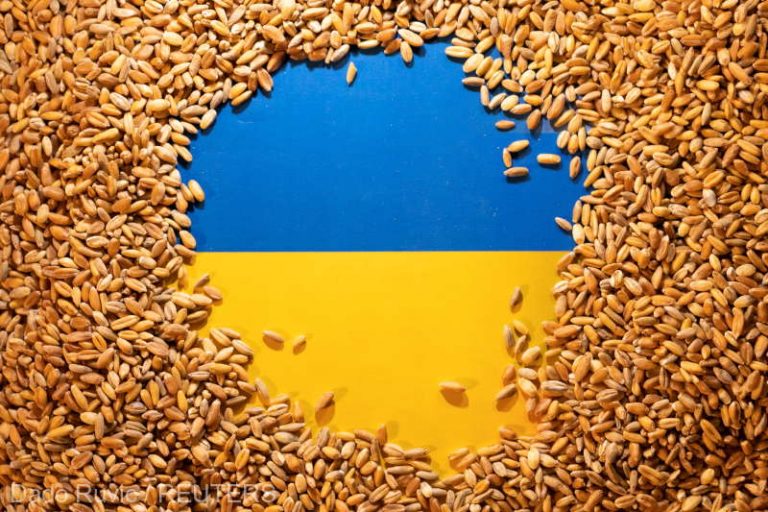 Ţările G7 cer Rusiei să prelungească acordul privind exportul de cereale