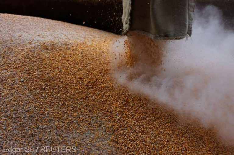 Cotaţiile mondiale la cereale înregistrează o scădere prudentă, în speranţa menţinerii coridorului ucrainean