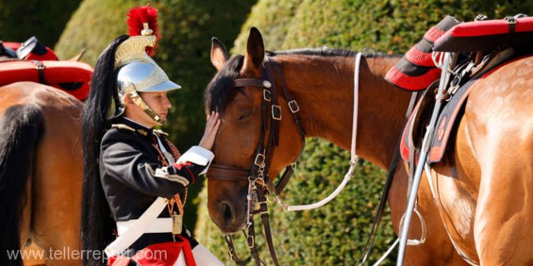 Macron i-a trimis reginei Elisabeta a II-a un cal, o şa şi o sabie