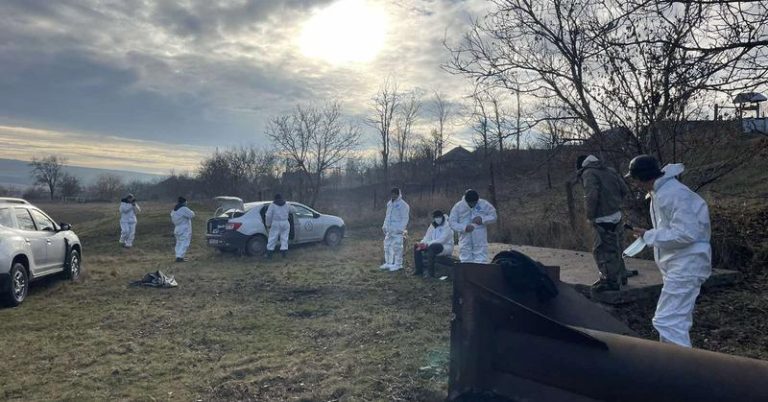 Zeci de lebede moarte au fost găsite pe râul Răut. Inspectorii de mediu cred că păsările ar fi infectate cu gripa aviară