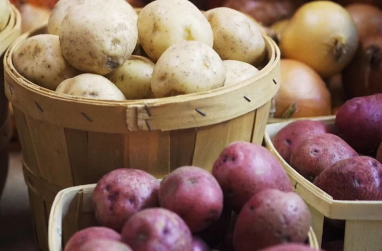 Moldova reexportă în Ucraina cartofi belaruși