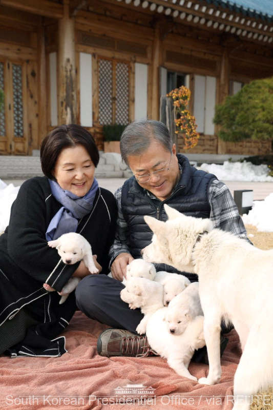 Controversă privind soarta câinilor dăruiţi de Kim Jong Un fostului preşedinte Moon Jae-in