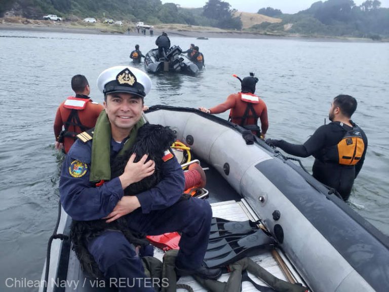 Pompieri şi membri ai marinei chiliene au salvat un câine rămas blocat mai multe zile pe stânci
