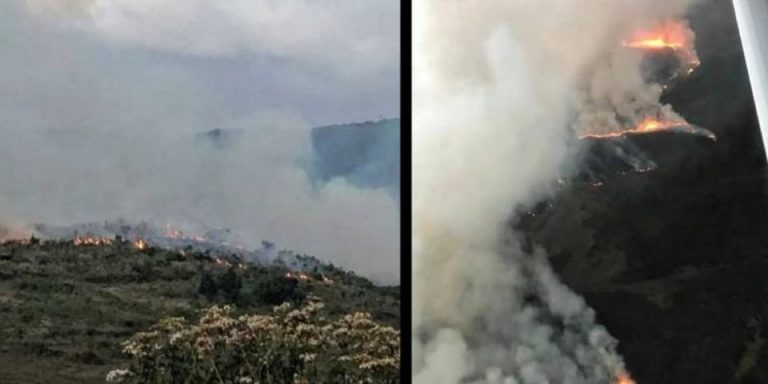 Parcul Naţional Aberdare din Kenya, cuprins de flăcări