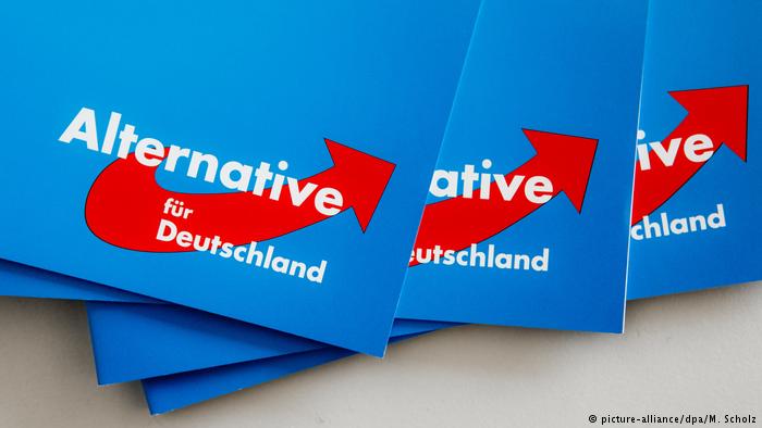 Germania: Formaţiunea de extremă dreapta AfD a depăşit pentru prima dată SPD în preferinţele alegătorilor (sondaj)
