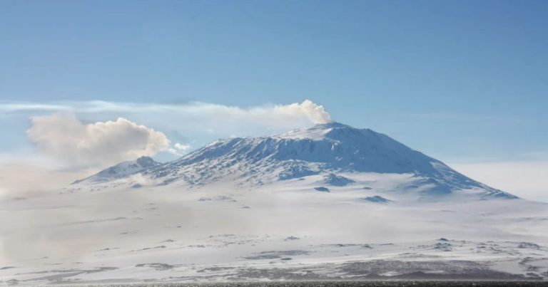 Ecosistemele din Antarctica, ameninţate de specii invazive care sosesc plutind pe resturi organice sau plastic (studiu)