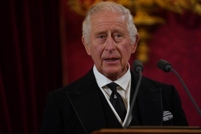 Regele Charles al III-lea vrea să îi împiedice pe prinţii Harry şi Andrew să preia interimatul funcţiilor sale (presă)