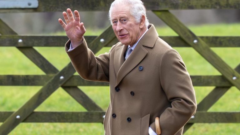 Problemele de sănătate, scandalurile şi neînţelegerile pun presiune pe familia regală britanică